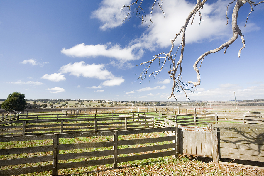 6-Steps-Needed-to-Secure-Sustainable-Custom-Stockyards